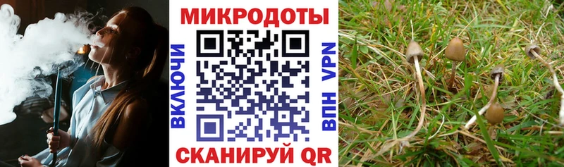 сколько стоит  shop какой сайт  Галлюциногенные грибы ЛСД  Новосибирск 